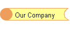 Our Company